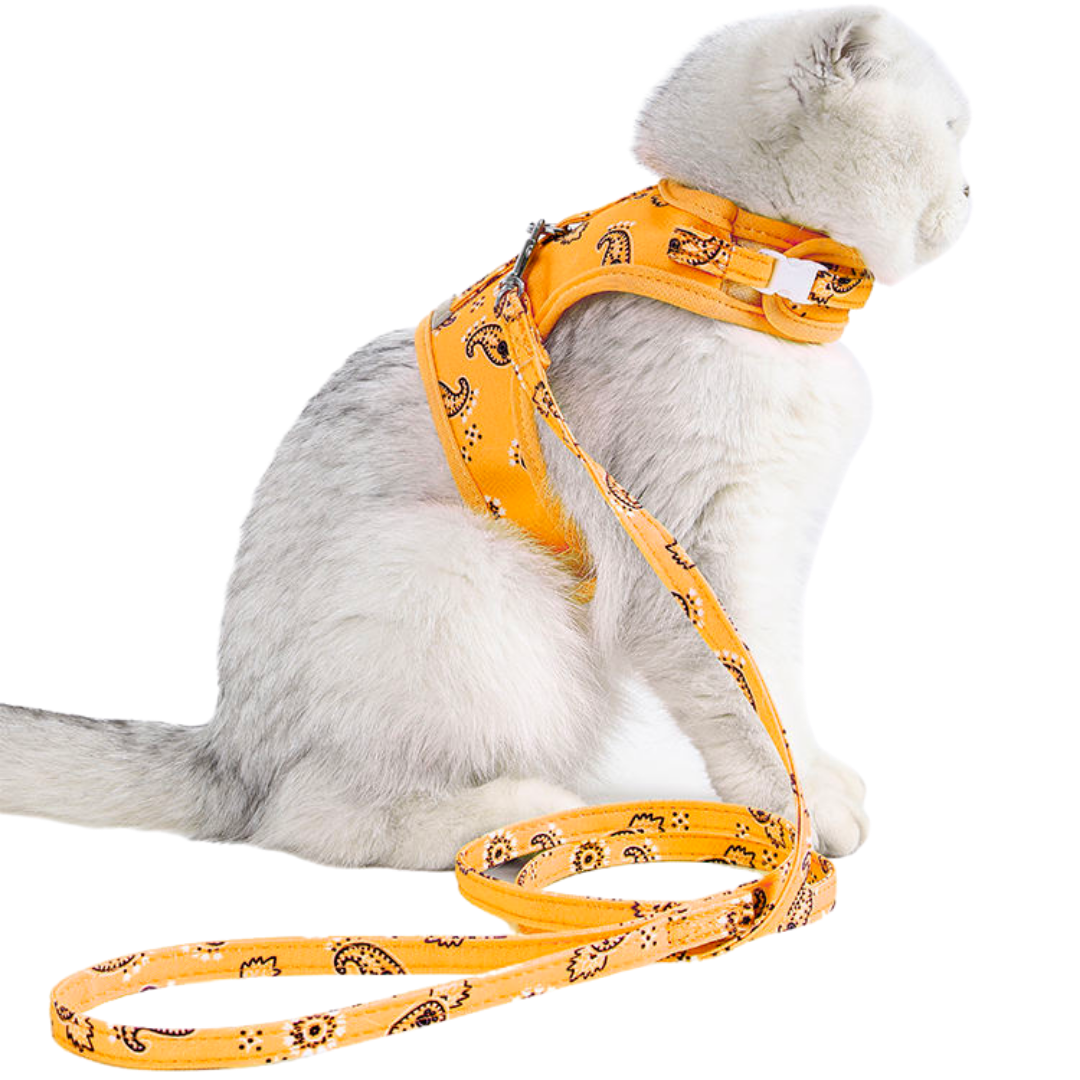 DogLemi Cat Paisley Harness & Leash Set