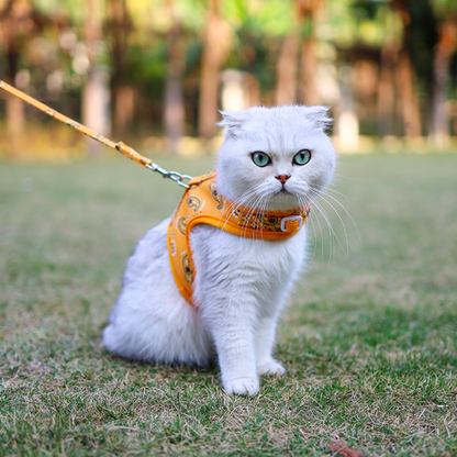 DogLemi Cat Paisley Harness & Leash Set