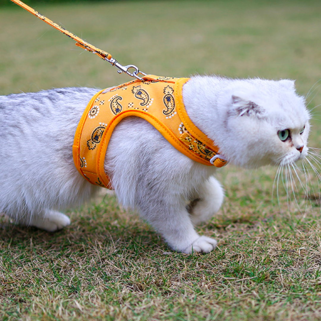 DogLemi Cat Paisley Harness & Leash Set