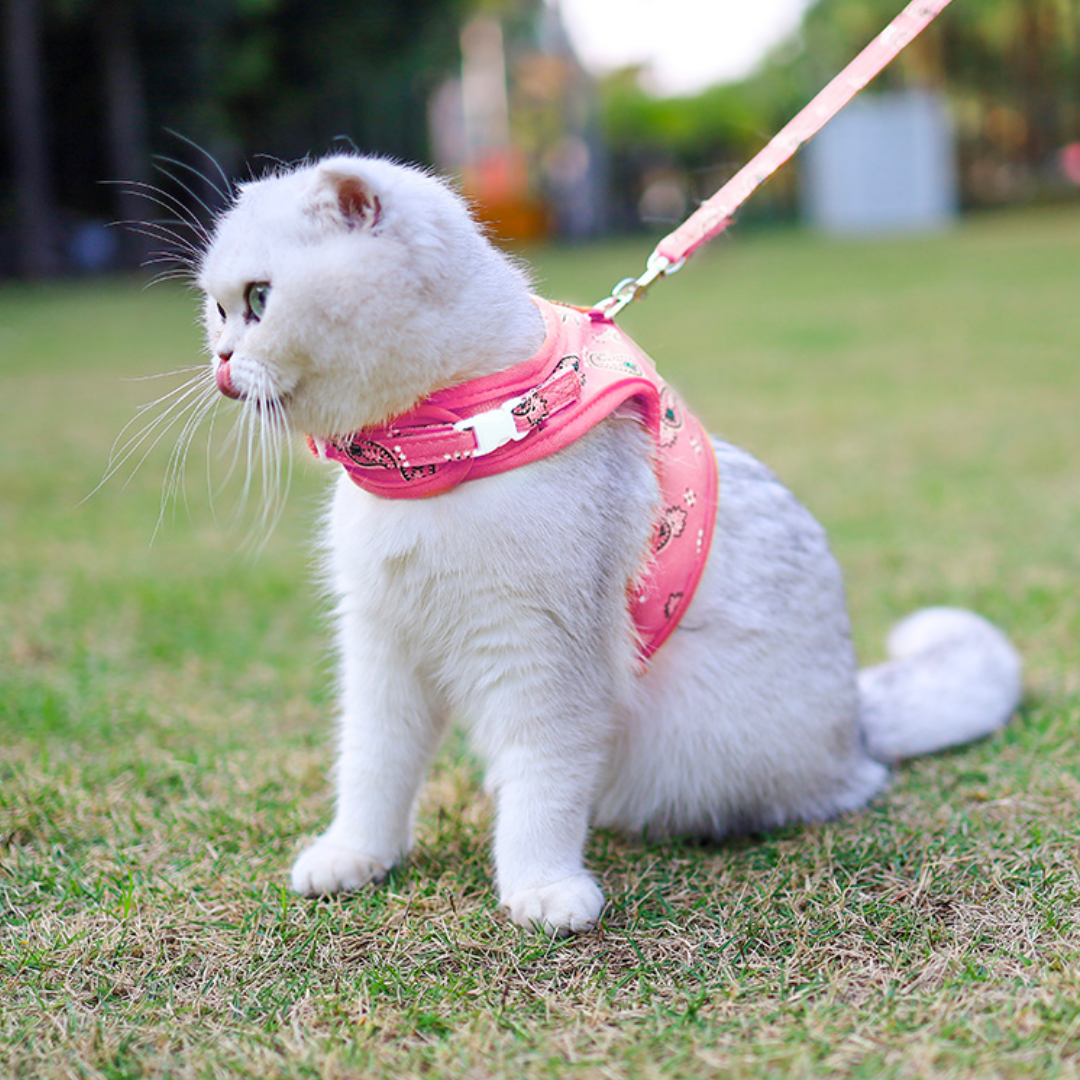 DogLemi Cat Paisley Harness & Leash Set