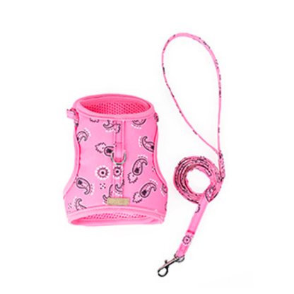 DogLemi Cat Paisley Harness & Leash Set