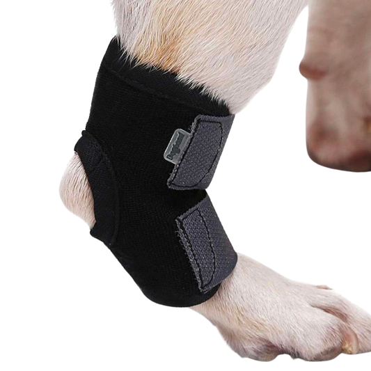 DogLemi Short Dog Leg Brace