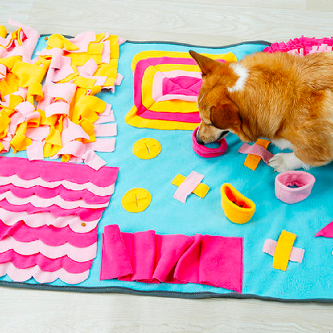 DogLemi Colorful Snuffle Mat