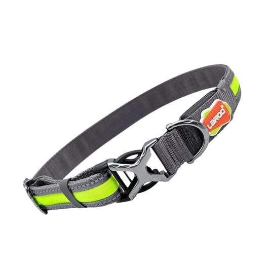 LaRoo SupremeX LED Nylon & Steel Collar