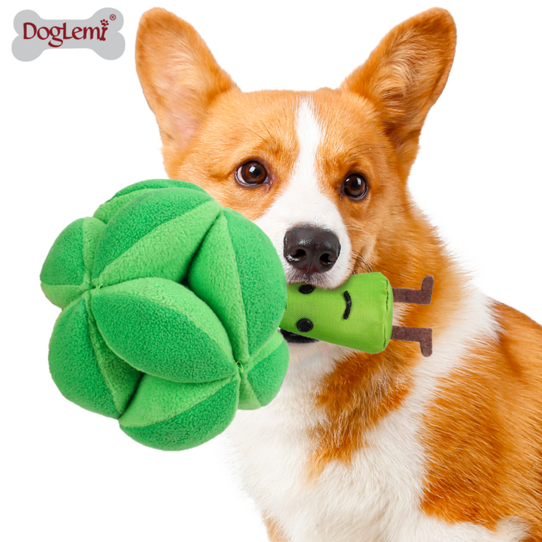 DogLemi Broccoli Snuffle Toy