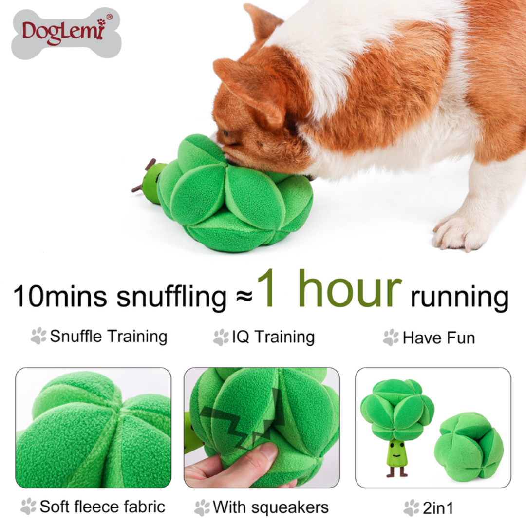 DogLemi Broccoli Snuffle Toy