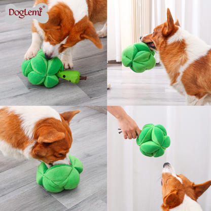 DogLemi Broccoli Snuffle Toy