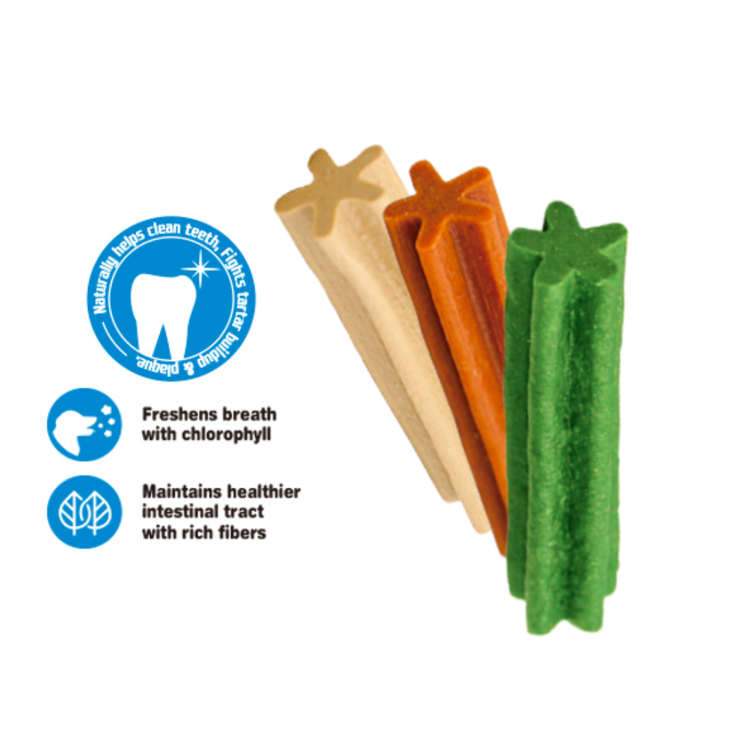 Dentalight Assorted Flavor Dental Stix (220g)