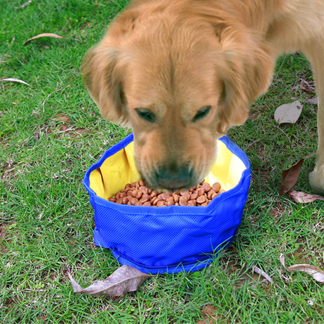 Doglemi Collapsible Fabric Bowl