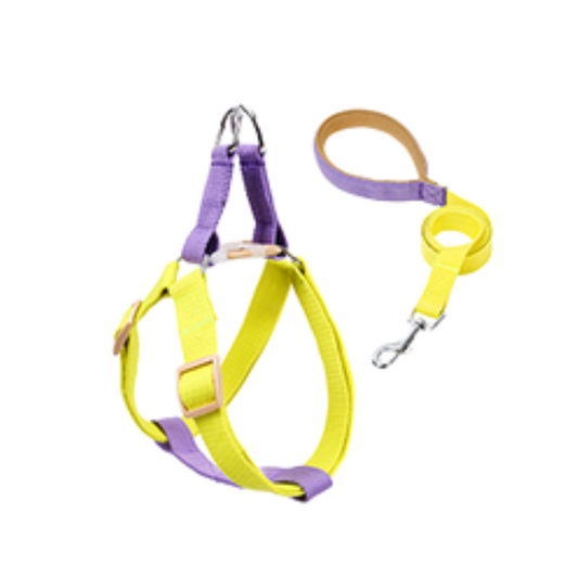 Doglemi Ombre Dog Harness & Leash